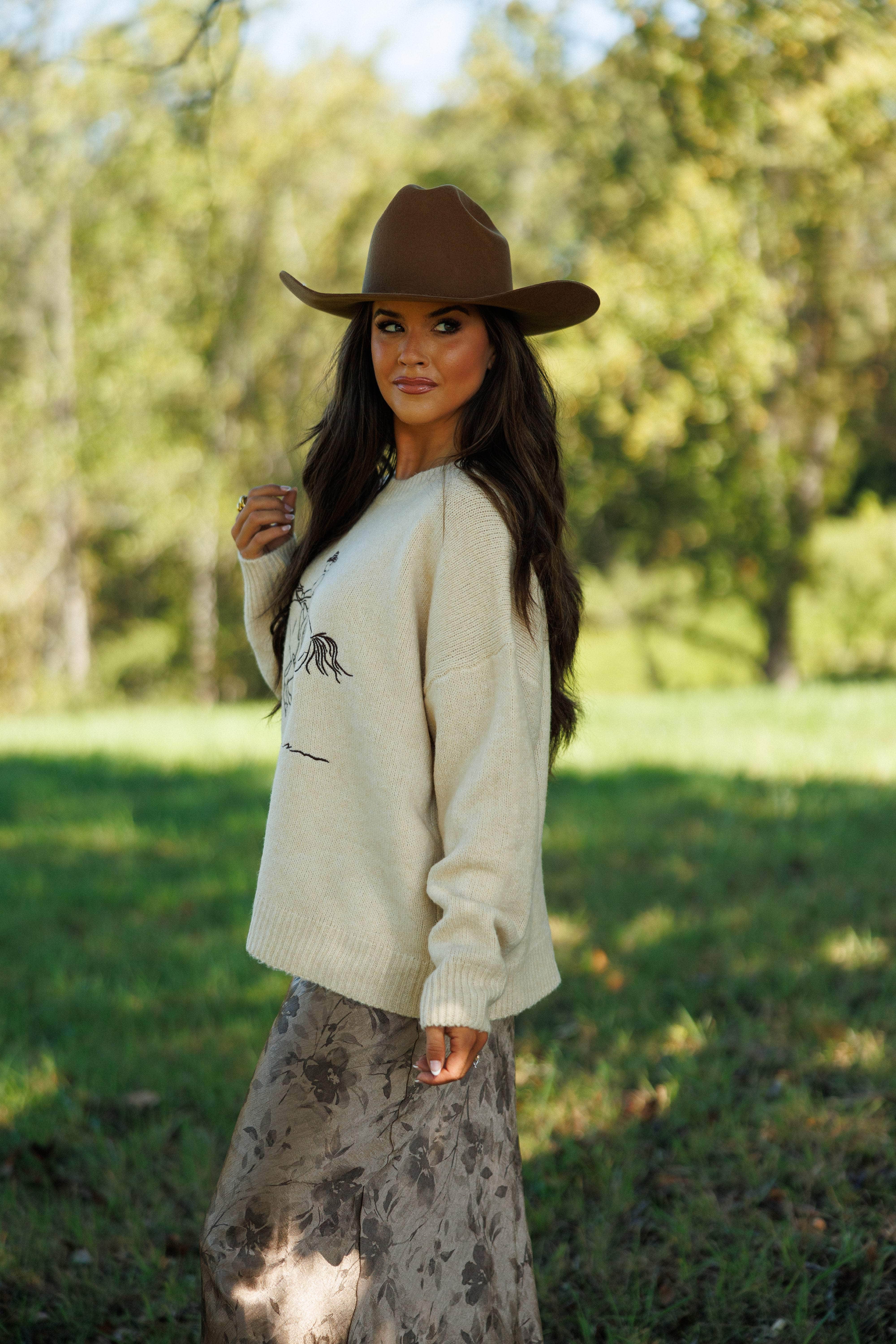 Western Sketch Sweater