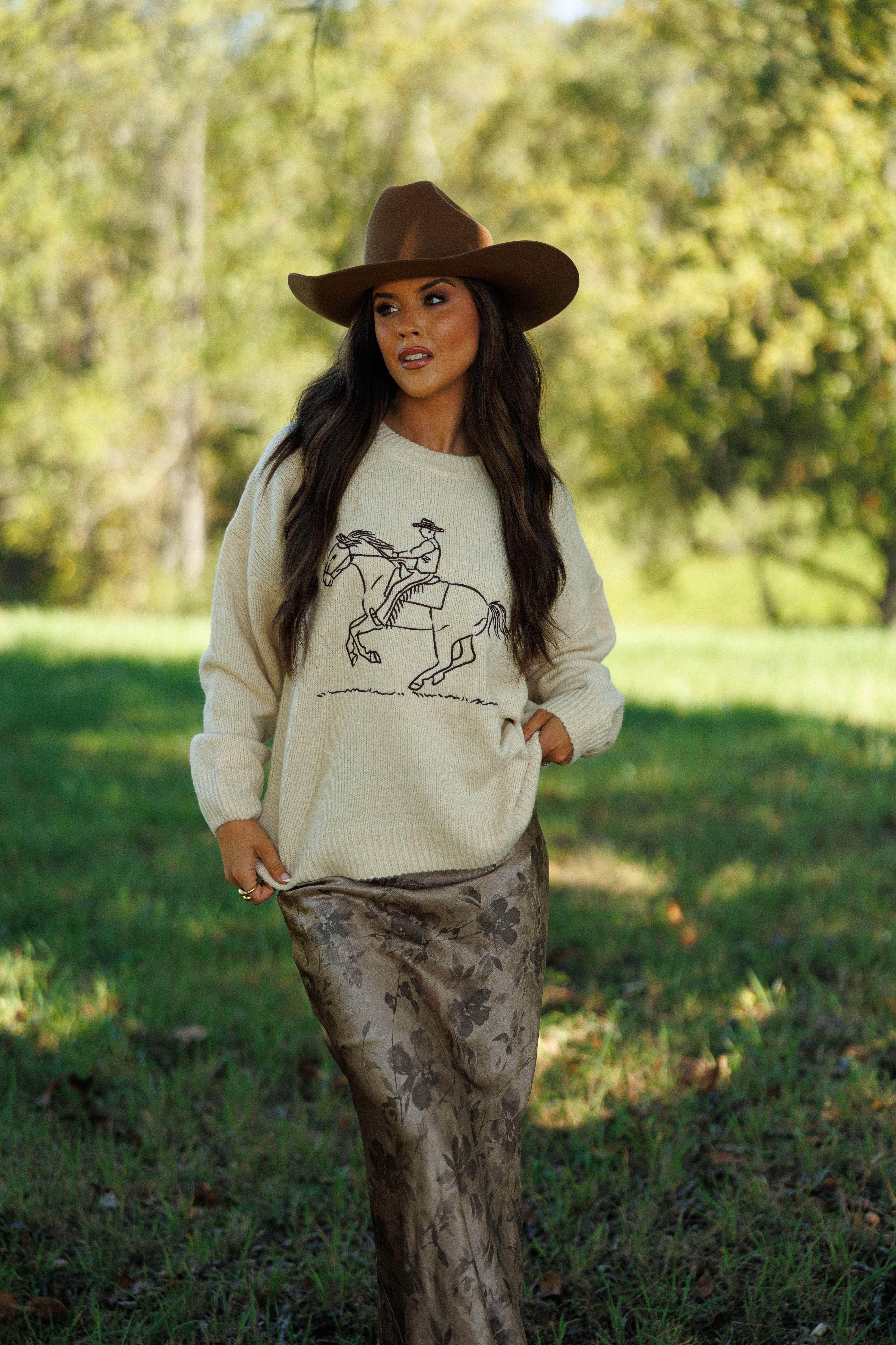 Western Sketch Sweater